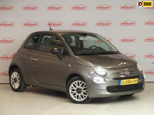 FIAT 500 0.9 TwinAir Turbo Young Cruise con.NL auto