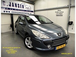 Peugeot 307 1.4-16V XS PLUS NETTE AUTO !! (bj 2007)