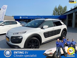 Citroen C4 Cactus 1.6 BlueHDi Business Plus PANODAK CAMERA