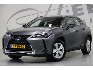 Lexus UX 250h/ Achteruitrijcamera/ Navigatie