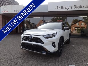 Toyota RAV4 2.5 Hybrid AWD Bi-Tone panorama-/open dak