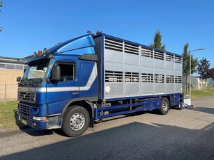 Volvo FM 7.290 1999 berdex pigtransporter (bj 1999)