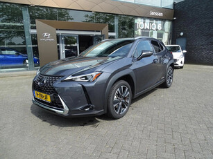 Lexus UX 250h Business Line + afn. trekhaak