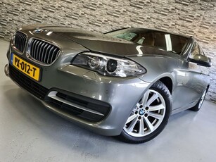 BMW 5-serie Touring 518d High Executive *Alarm*Trekhaak*NAP!