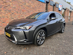 Lexus UX 250H 2WD Premium Edition Camera PDC