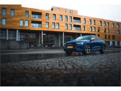 Audi Q8 e-tron Elektriciteit