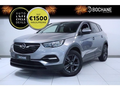 Opel Grandland X 1.2 Turbo 130 120 Jaar Edition Navi