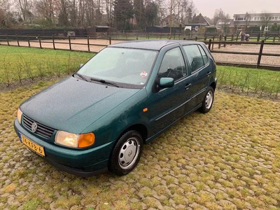 Volkswagen Polo VERKOCHT!!!