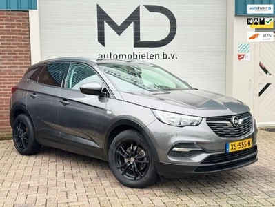 Opel Grandland X 1.2 Turbo Business + / Perfect onderhouden