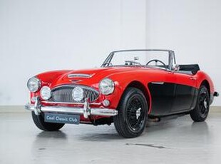 Austin Austin-Healey 3000 MKIII - Nut&Bolt restored - Mint condition