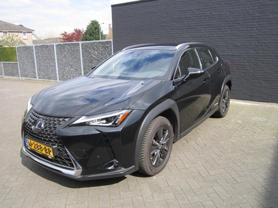 Lexus UX 250h Business Line