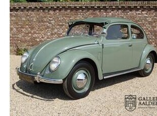 Volkswagen BEETLE (NEW) Kever Type 1 splitwindow with rare crotch coolers