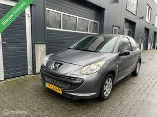 Peugeot 206 + 1.1 XR APK/NAP