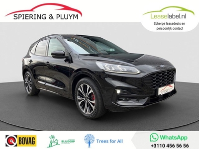 Ford Kuga 2.5 PHEV ST-Line X panodak Head up winter