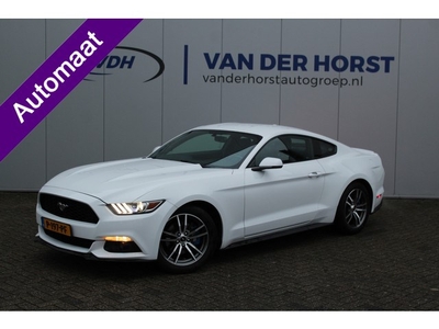 Ford Mustang Fastback 2.3 EcoBoost 317 pk Leren bekleding