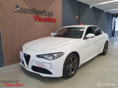 Alfa Romeo Giulia 2.0T 310PKTrekhaakCameraStuur verwarm