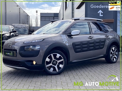 Citroen C4 Cactus 1.2 PureTech Rip Curl Navi Panorama