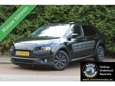 Citroen C4 Cactus 1.6 BlueHDi Feel, Pano dak Elek ramen