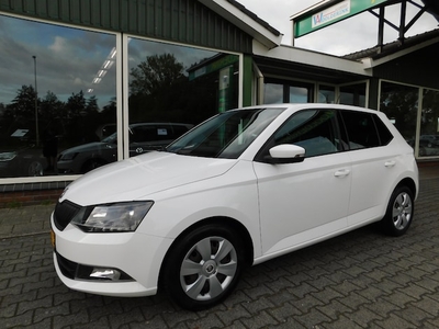 Skoda Fabia Benzine