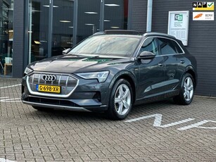 Audi E-tron E-tron 50 quattro Launch edition plus 71