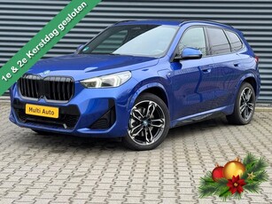 BMW X1 xDrive30e M Sport Plug In Hybrid PHEV Panorama