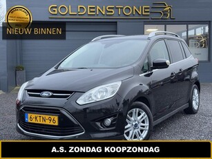 Ford Grand C-Max 1.0 Titanium 1e Eigenaar,Clima,Cruise,LM