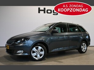 Škoda Fabia Combi 1.2 TSI Style Business Ecc Navigatie