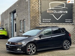 Volkswagen Polo 2.0 TSI GTI Performance