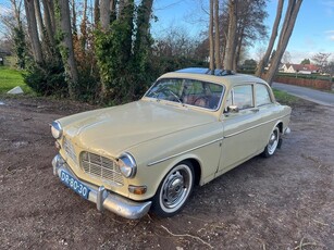 Volvo P 131134 VE Amazon