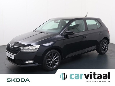 Skoda Fabia 1.0 TSI Business Edition 95 PK Apple