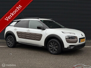 Citroen C4 Cactus 1.6 BlueHDi BusinessPlus, Pano, Leder, Cam