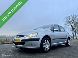 Peugeot 307 1.6-16V Gentry, BJ 2002, Airco, APK, Zuinig, NAP