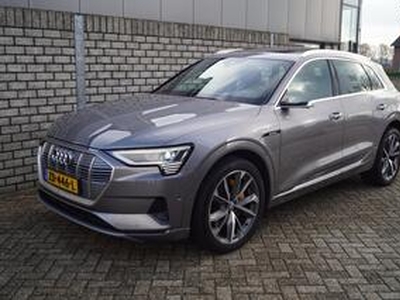 Audi e-tron E-tron 55 quattro advanced 95 kWh Pro Line Plus Autom Panodak Leder Navi Camera Clima Luchtvering Adaptieve Cruise ENZ