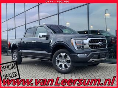 Ford (usa) F-150 PICK-UP Platinum - nieuwe model!