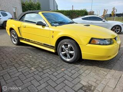 Ford (usa) MUSTANG 3.8 V6 Cabrio, nw dak, mooie compl auto