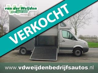 Mercedes-Benz SPRINTER 2 Paards Paardenauto 150 PK!! Automaat