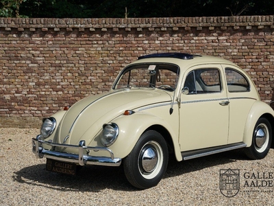 Volkswagen Kever 1200 PRICE REDUCTION Original Dutch car, Previously restored, Sunroof