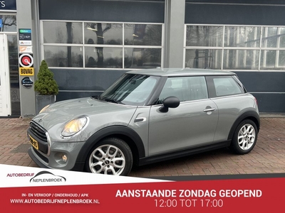 MINI Mini 1.2 One Salt Business 102pk Bj 2014 Km 110.000 Dealer onderhouden