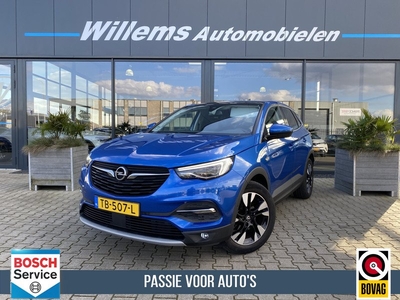 Opel Grandland X 1.2 Turbo Business Executive Panodak , Stoel / stuurverwarming