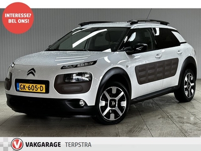 Citroën C4 Cactus 1.2 PureTech Shine /17