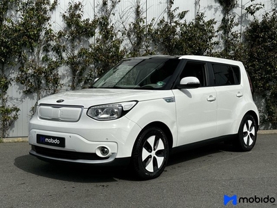 Kia Soul EV Edition 30 kWh Navigatie Camera