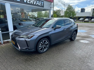 Lexus UX 250h (bj 2019, automaat)