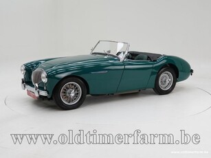 Austin Healey 100/4 BN1 '54 CH1610