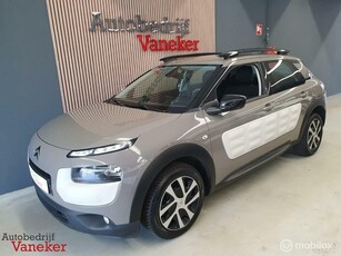 Citroen C4 Cactus 1.2 VTi BusinessStoelverwarmingNaviPDC