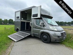 Fiat Ducato 2-paards paardenvrachtwagen MARGE B-rijbewijs