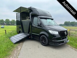 Mercedes-Benz Sprinter 317 AMG 2-paards paardenvrachtwagen