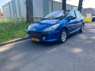 Peugeot 307 1.6-16V Premium / climate / Elek ramen