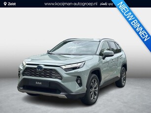 Toyota RAV4 2.5 Hybrid AWD Executive Blind spot