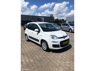 Fiat Panda 1.2 Edizione Cool Airco Ell Pak