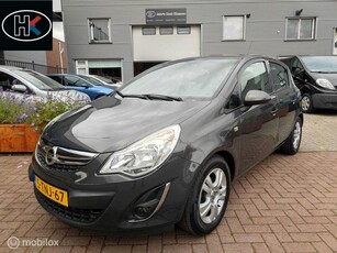 Opel Corsa 5-deurs 1.4-16v Design Edition Cruise control